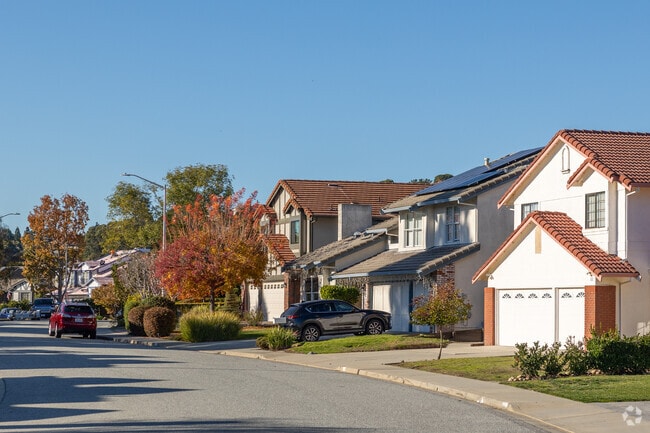 Autumn colors brighten the residential streets of Alder Manor, San Carlos.