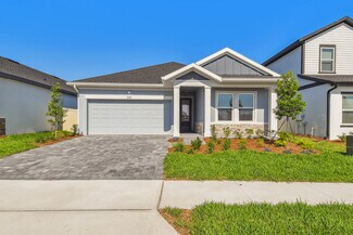5920 Bristle Oak St, Mount Dora, FL 32757