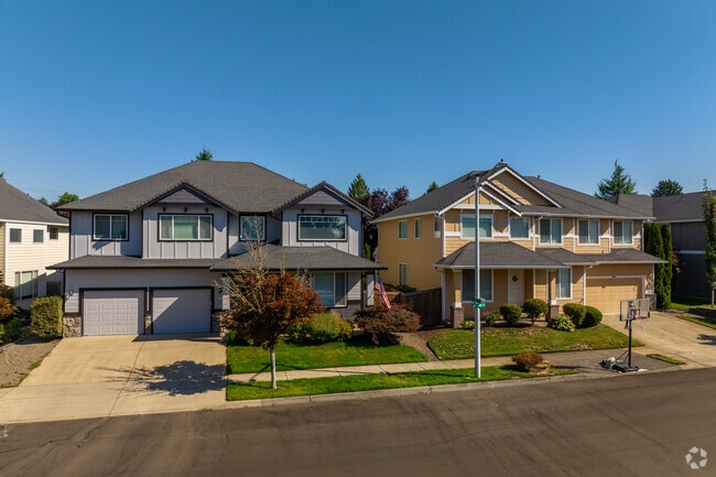 Large contemporary homes line the streets of the Village at Fisher's Landing neighborhood.