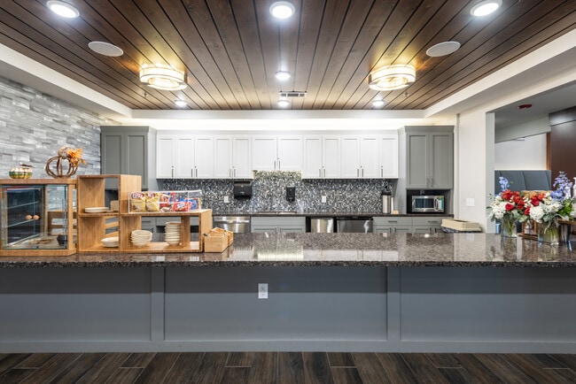 Overture Frisco 55+ Active Adult Apartment Homes, Frisco, TX 75034 - photo 7