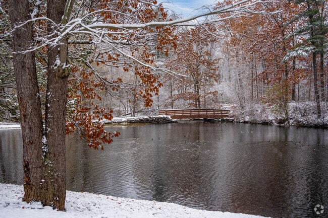 Take a stroll across the bridge and along the walking paths at Main Street Town Park.
