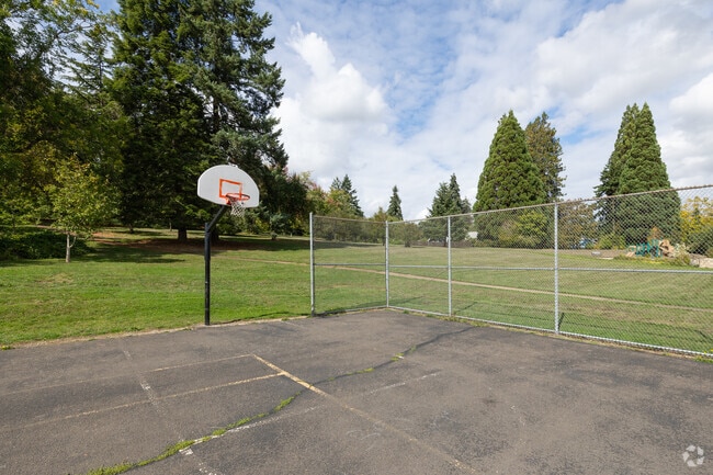 Shoot some hoops at Clark Creek Park in Morningside.