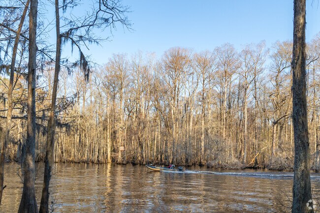 The Lumber River offers excellent boating, fishing and outdoor fun at the Lumber River State Park near Lumberton.