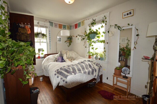 7 Wadsworth St, Allston, MA 02134 - photo 7