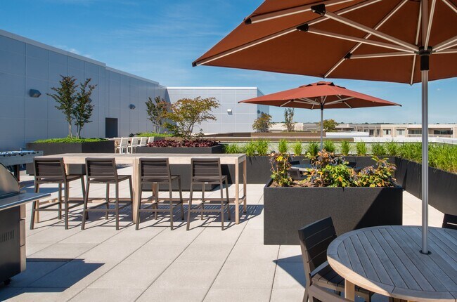 Crystal Flats, Arlington, VA 22202 - photo 7