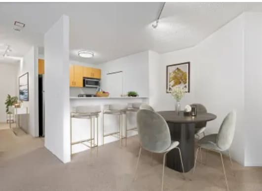 728 N Dearborn St, Chicago, IL 60654 - photo 1