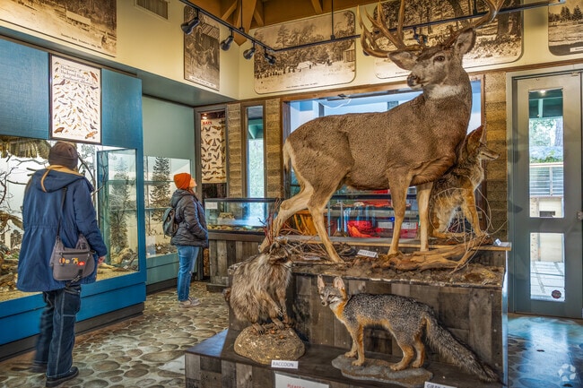 Visit the exhibits at The Idyllwild Nature Center to learn about the local wildlife.