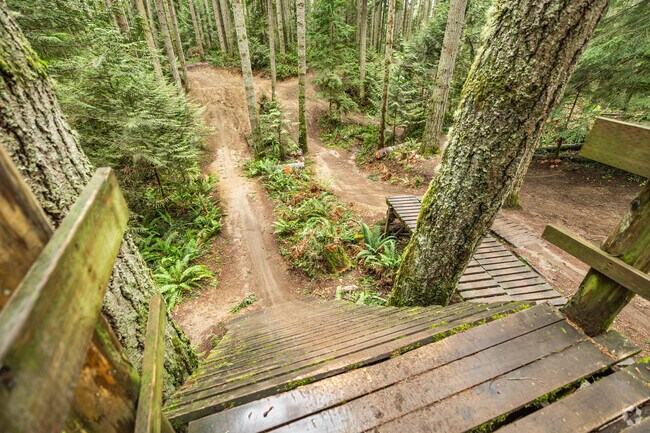 Duthie Hill Mountain Bike Park near Klahanie has obstacle courses and challenging trails.