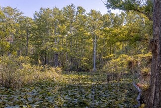 11575 Willowleaf, Punta Gorda, FL 33982