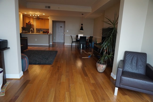 Living room, sun room, kitchen...