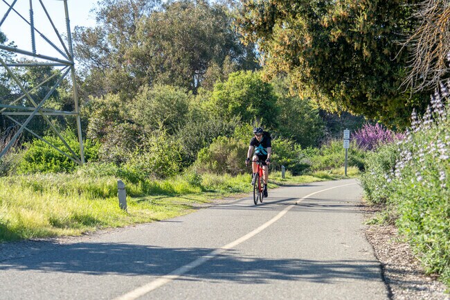 A biker taking the Stevens Creek Trail.