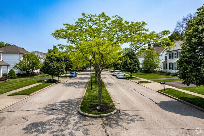 Hampstead Village is a vibrant community within Fodor.