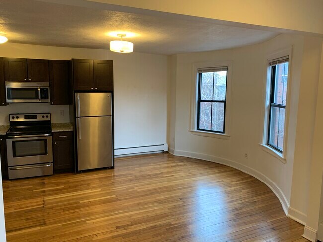 40 E Springfield St unit 1, Boston, MA 02118 - photo 5