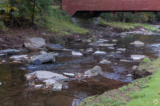 There are many streams that run through the Cogan House neighborhood.