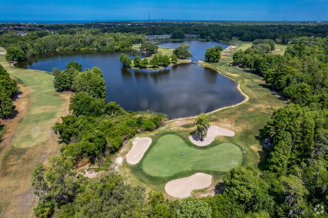 There are a few golf course around Palm Harbor for you to enjoy a round of two.