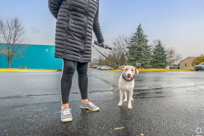 Bushkill Township is a dog-friendly community, offering plenty of parks and open spaces for pets and their owners to enjoy together.