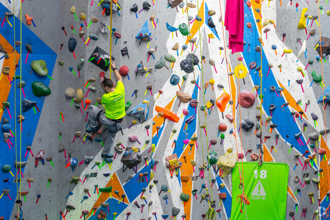 Rock climbers can get some practice in at Elite Climbing in Maple Shade Township.