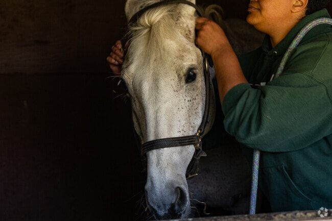 Sage Farm in Dover offers boarding and horseback riding lessons.