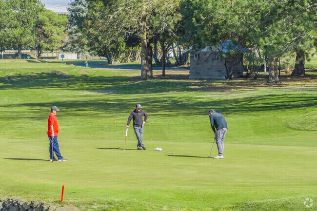 Work on you swing with friends at Black Rock Golf Course in Sunnyside.