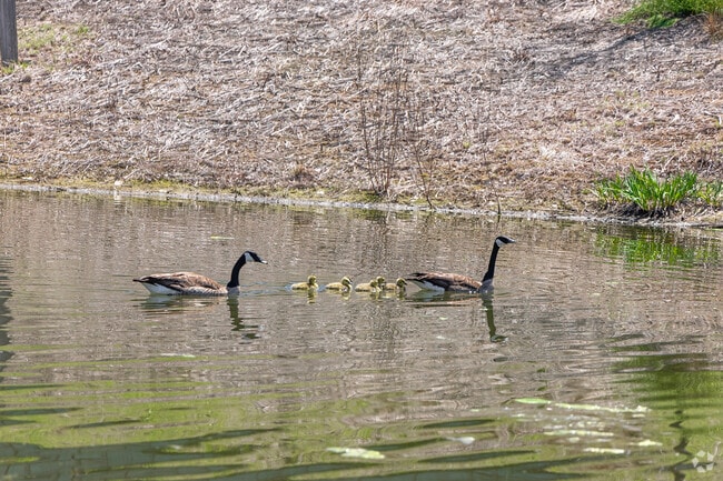 The 1.5-long trail at Lick Run Greenway, in North Fairmount, is a popular spot for nature lovers.