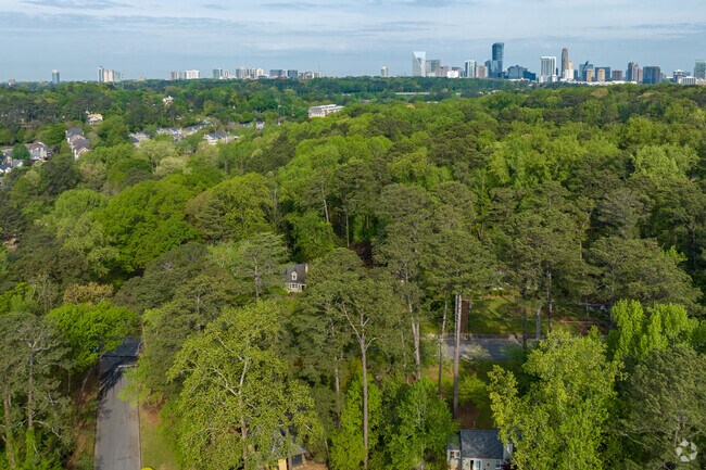 True to its name, Pine Hills is a neighborhood of rolling hills and towering trees.
