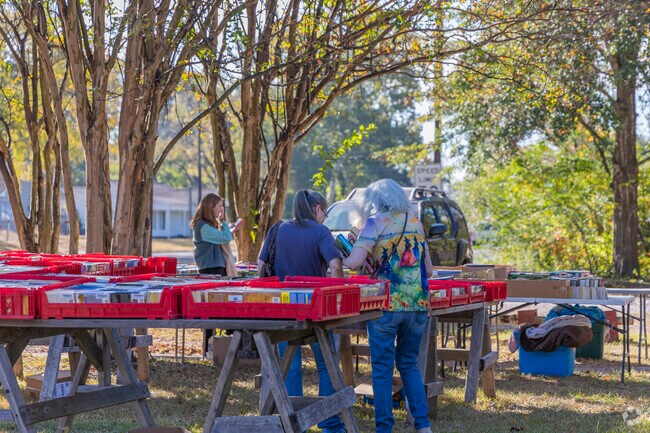 Whitehouse is full of community events and markets.