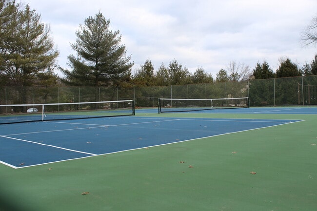 Tennis court