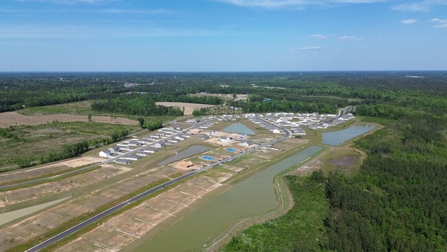 589 Strawberry Field Way, Galivants Ferry, SC 29544 - photo 6