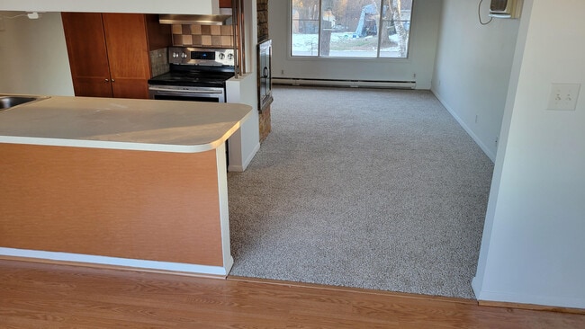 321 Lillian Ct, Whitmore Lake, MI 48189 - photo 4