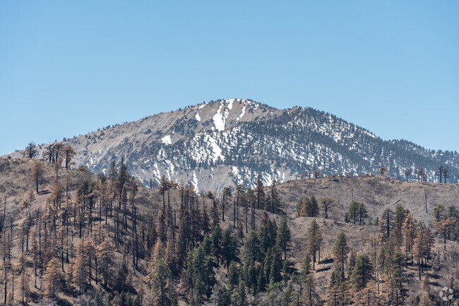 Wrightwood provides a unique lifestyle for those who appreciate mountain living.