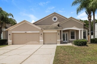 10445 Meadow Spring Dr, Tampa, FL 33647
