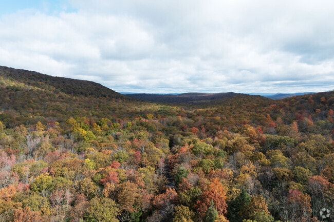 Bear Meadows Nature Area is a 1078 acre preserve forever saved for the wilderness of Harris, PA.