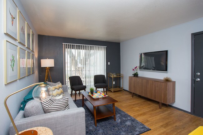 Aqua 16 Apartments, San Marcos, TX 78666 - photo 4