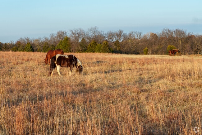 North Ridge has a lot of acreage for sale to ranchers.