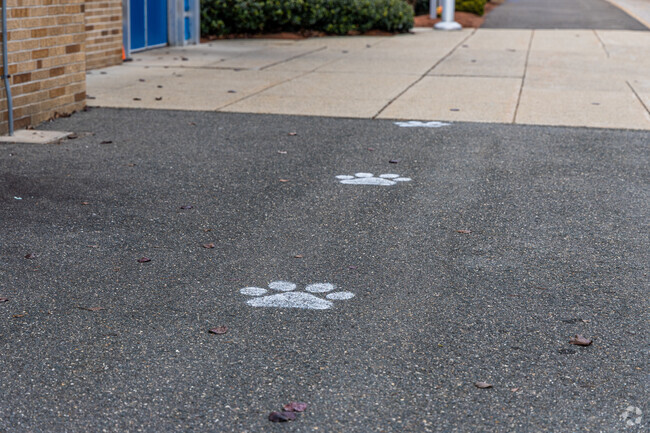 Follow the paw prints to West Intermediate School in Wilmington, MA.