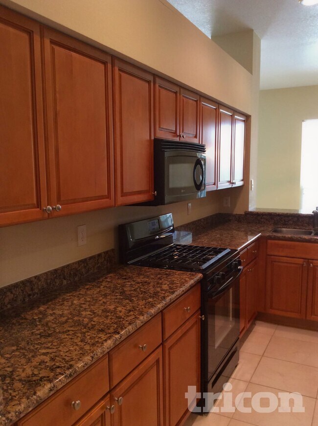 28634 Hanging Moss Loop, Wesley Chapel, FL 33543 - photo 3