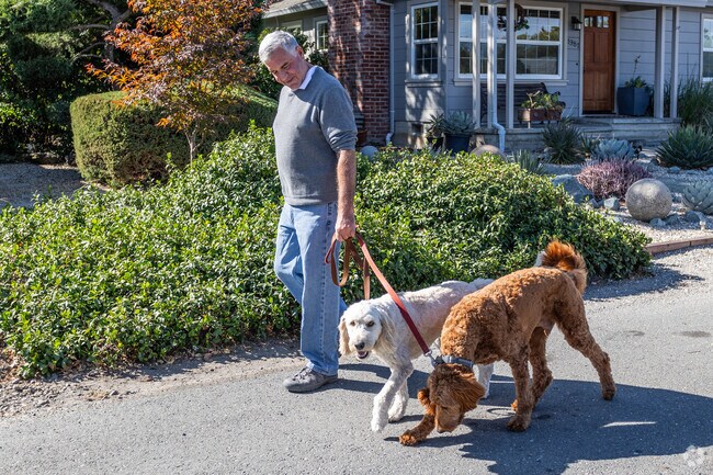 Springdale residents love walking their pups around the quiet neighborhood in Lafayette.