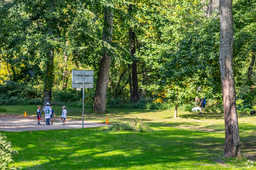 Springfield Township