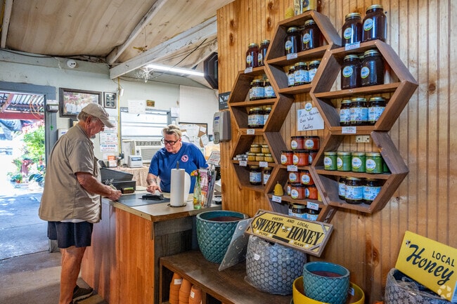 Stock up on local honey from Sammy's Plant World in Brownsville.
