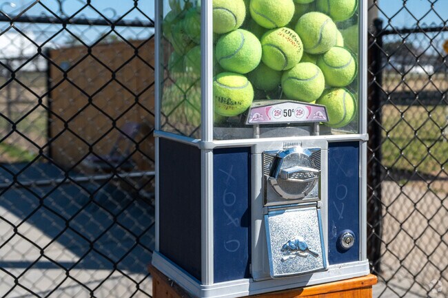 Buy your furry friend a tennis ball from a vending machine at the Dunn Dog Park.