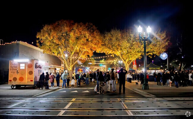 The City of Turlocks Festival of Lights is one of the best events of the season.