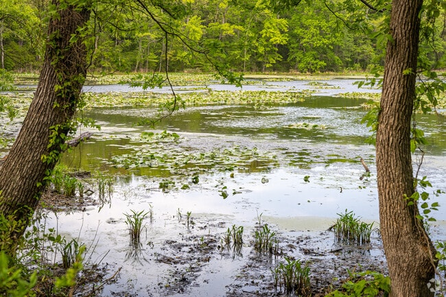 The Chesapeake brings marsh lands and wildlife into the Perryman community.