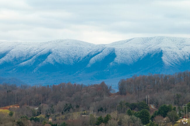 Kingsport maintains more than 100 miles of trails and nearly 40 parks and recreational hubs.