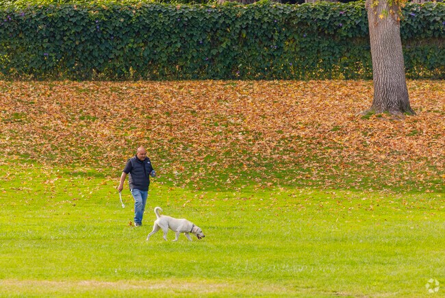 Beckman Park is the place to spend time with your family friend.