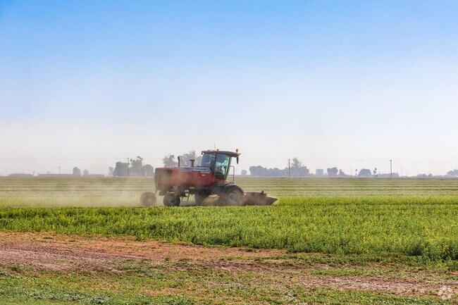 Heber thrives on agriculture, with farms stretching beyond the city limits, shaping its landscape and economy.