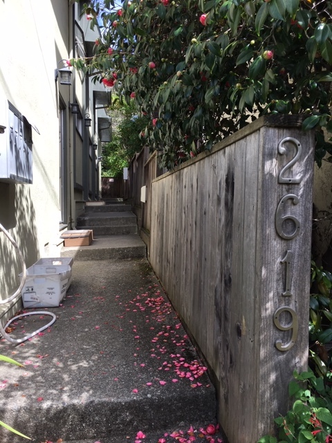 walkway to front door