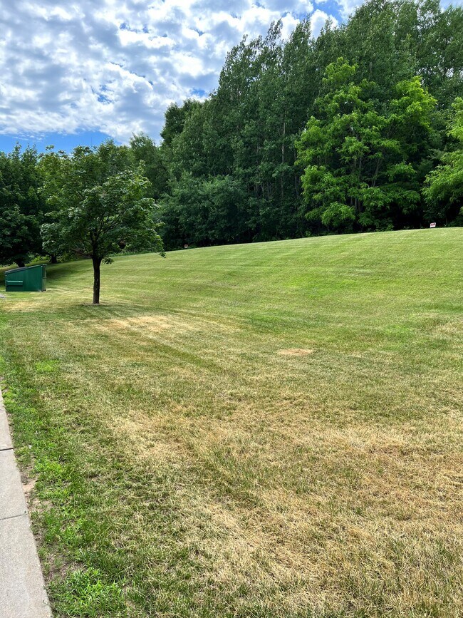 Taylors Falls Villas, Taylors Falls, MN 55084 - photo 5