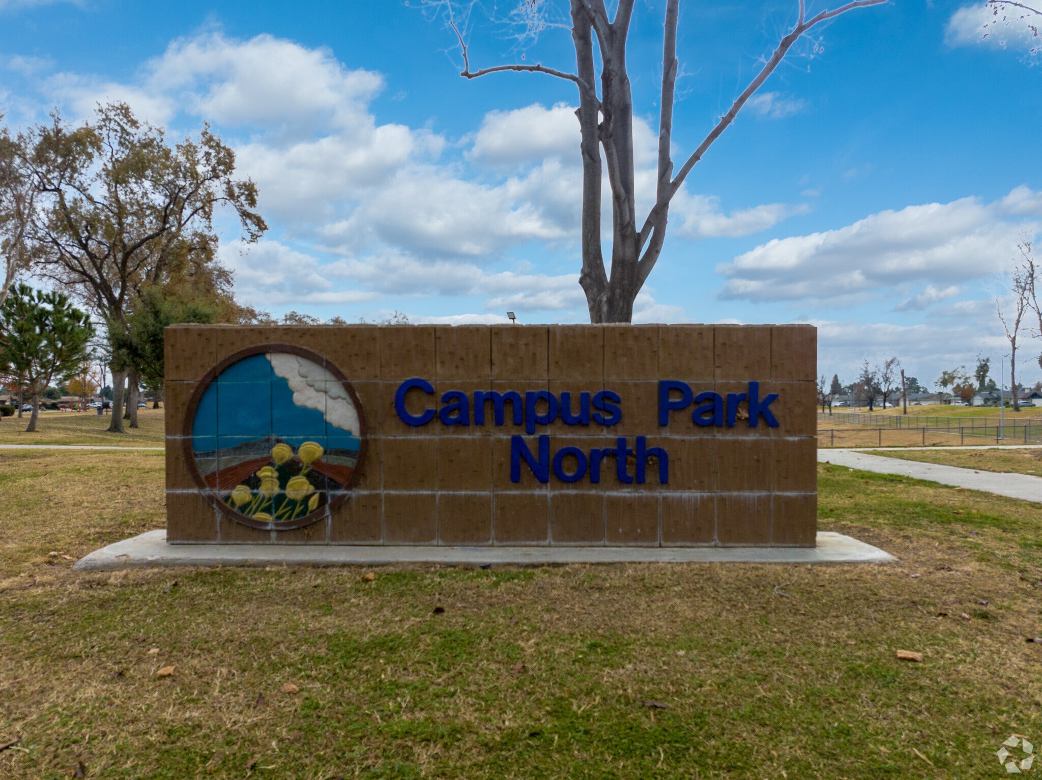 About Campus Park Schools, Demographics, Things to Do