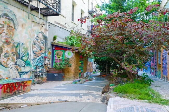 The Tenderloin National Forest is in an alley that's been cleaned up and opened as public space.