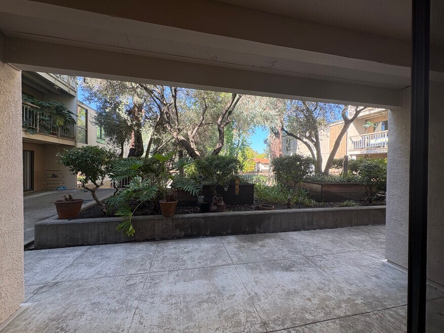 Green spacelookout from your Patio